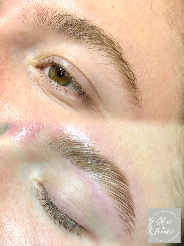 Brow Lamination + Wax + Tint