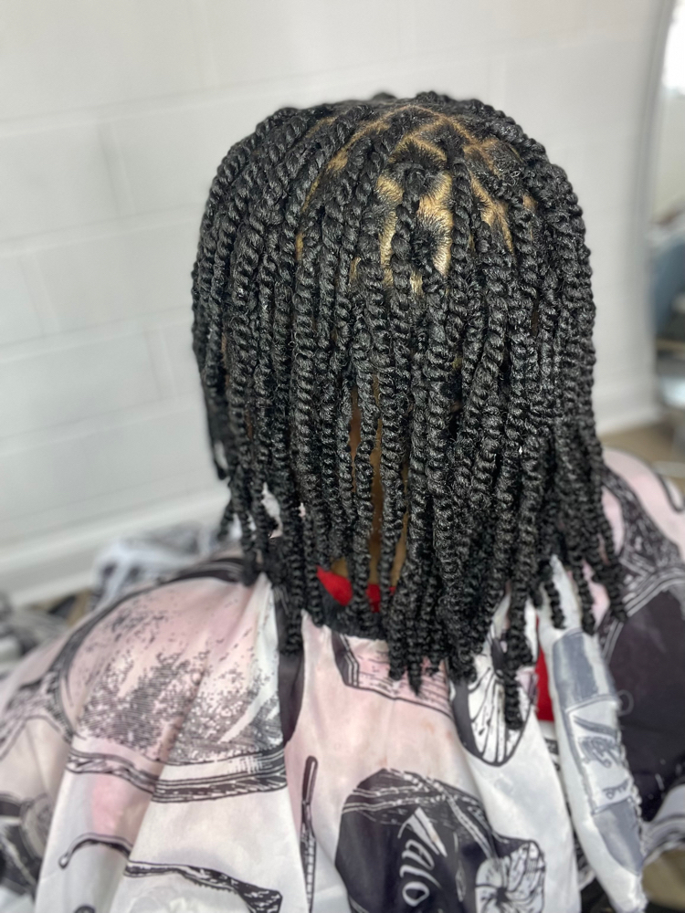 Two Strand Twist W Hair Added