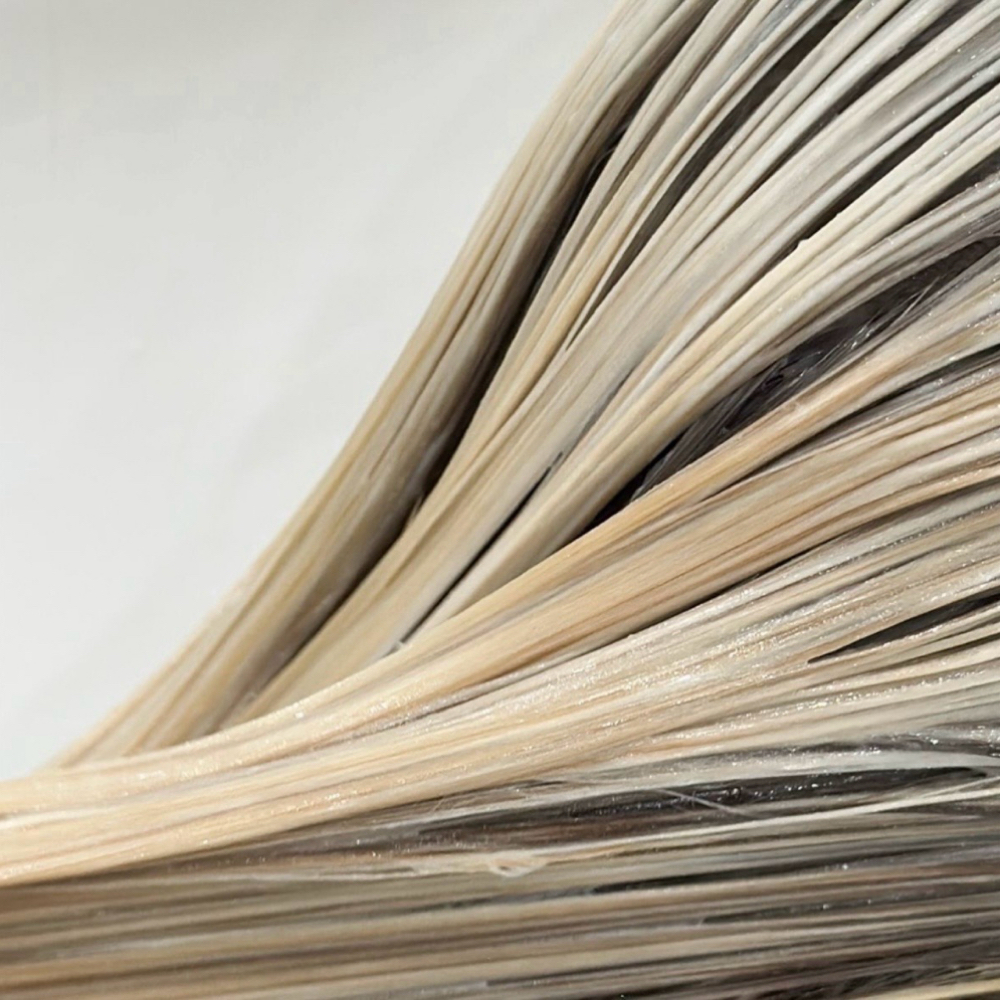 Gloss at Hair by Brooke Skafas in Seabrook, NH