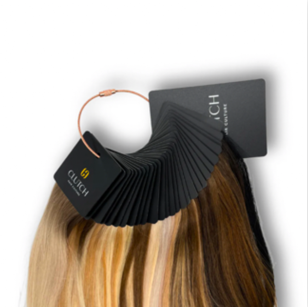 Extension Consultaion