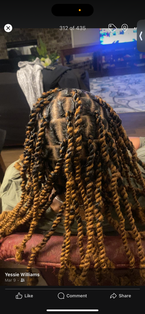 Invisible Locs