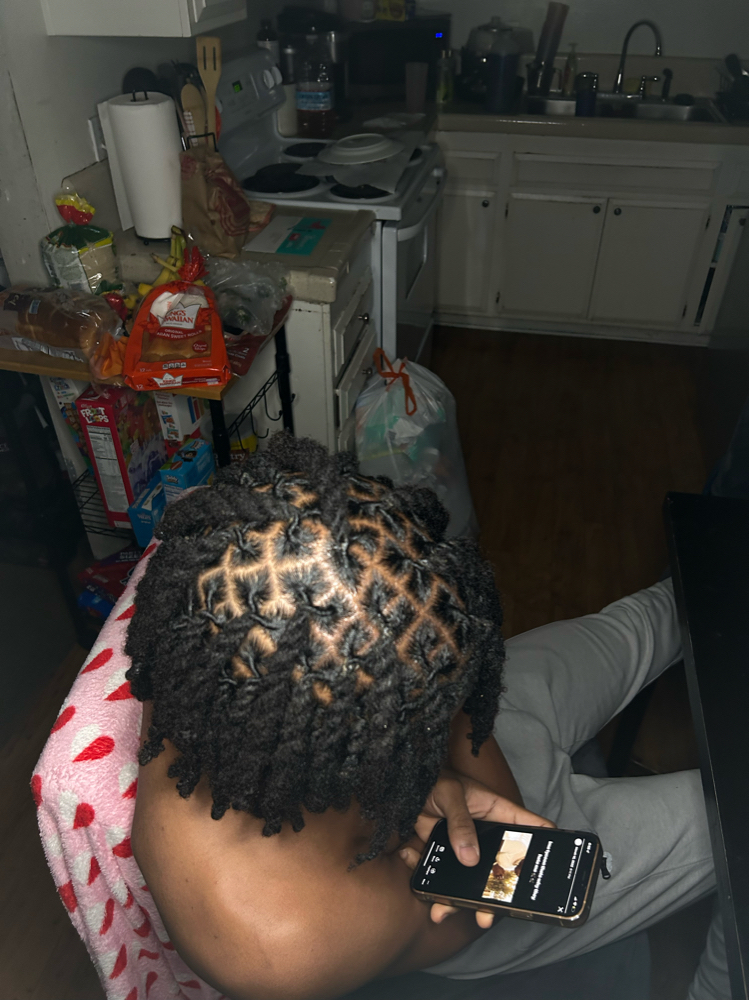 2 Strand Twist