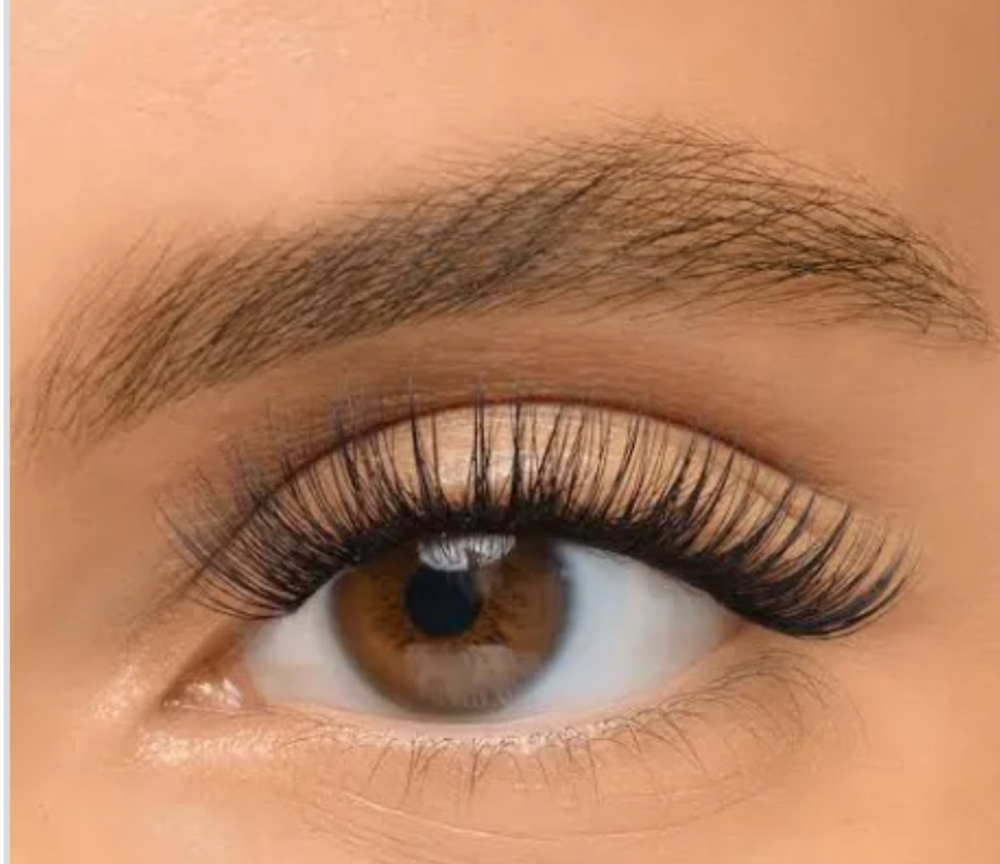 Lush Long Natural Lashes