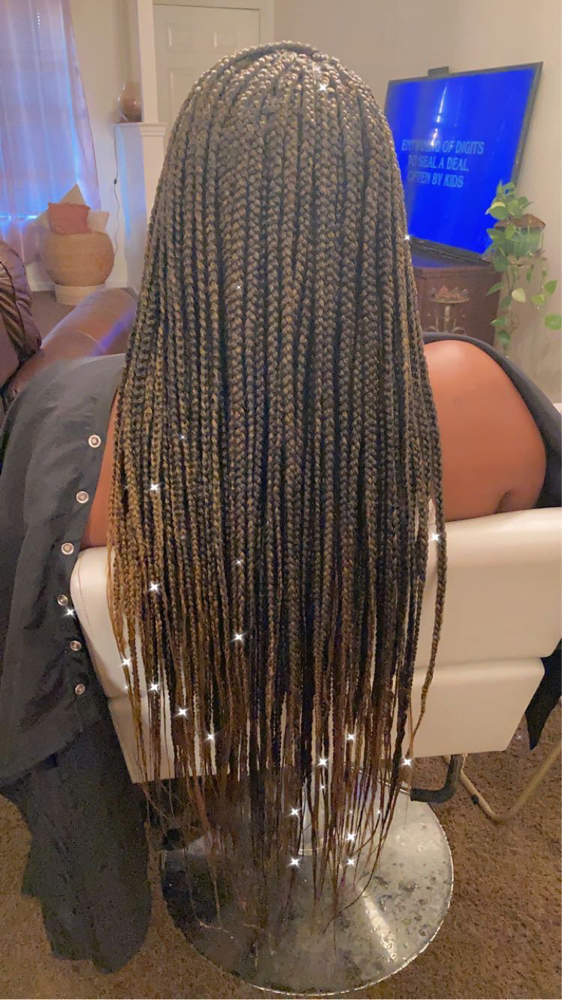 Box Braids Lower Back