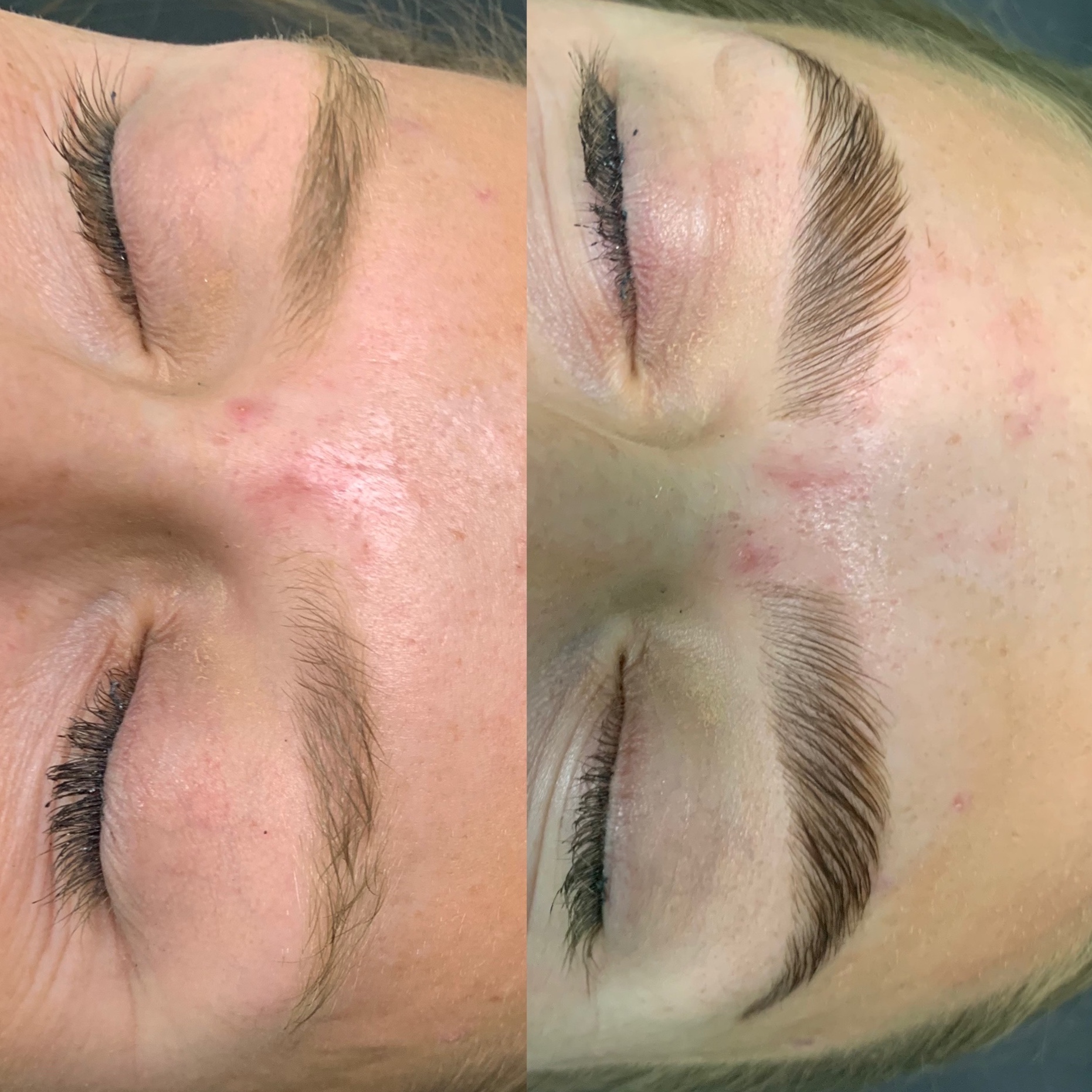 Brow Lamination w/ Wax + Tint at Alisa Marie Brows & Spa in Royal Oak, MI