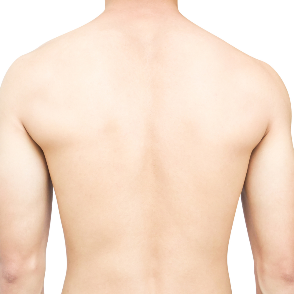 Back