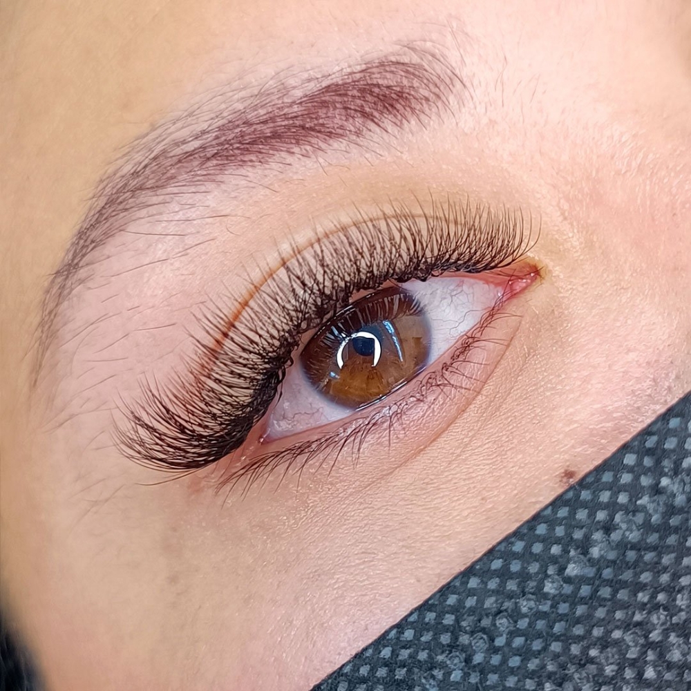 Hybrid Lashes