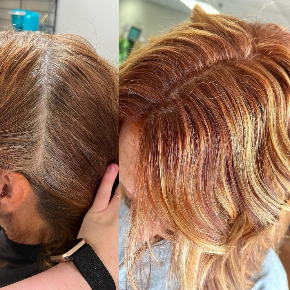 Root Touch Up