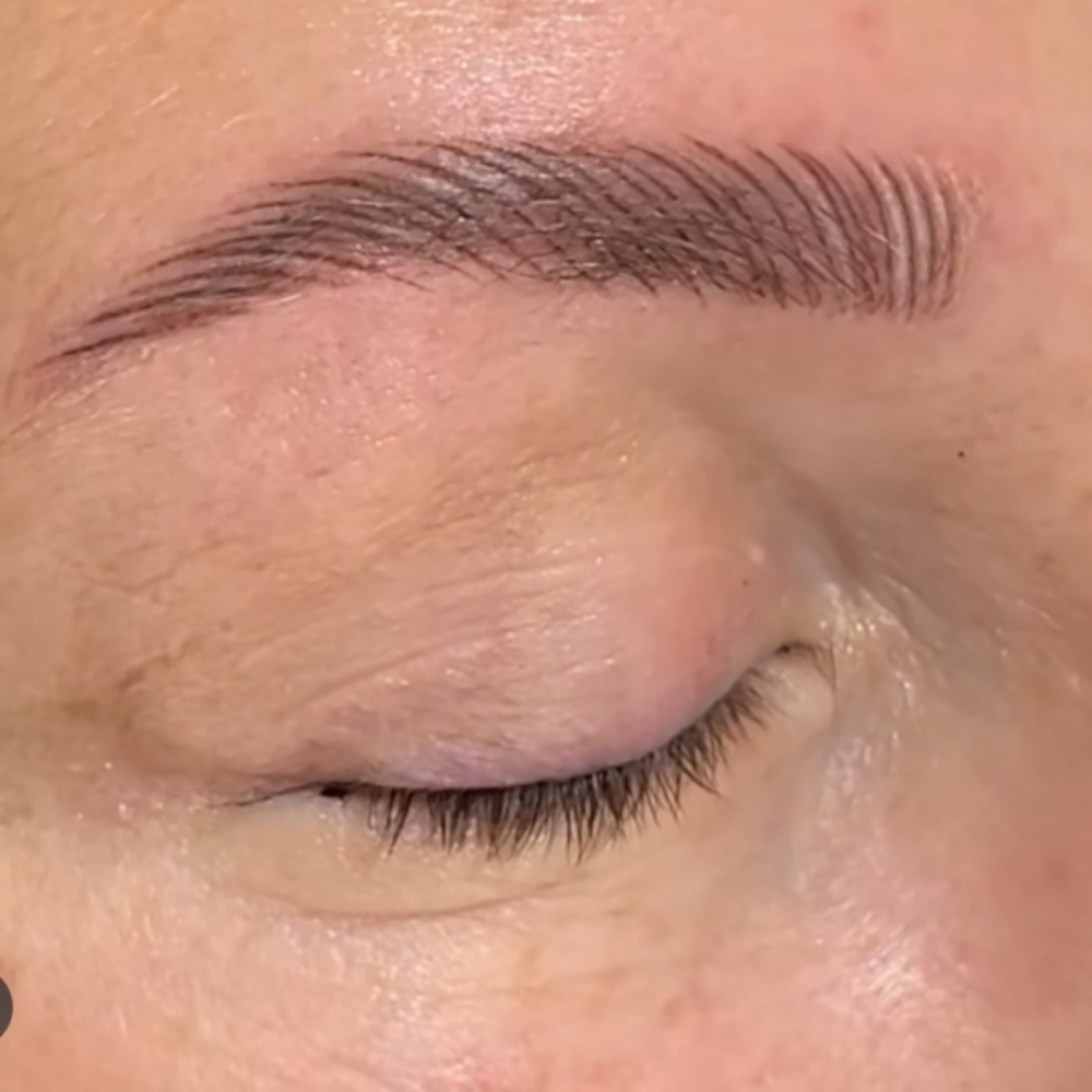 Nano Brows at Signature-PMU By Tara in Johns Creek, GA