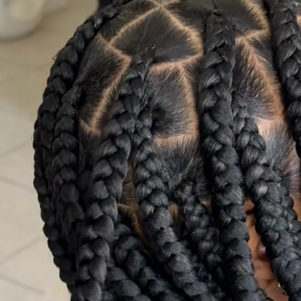 Plat Braids at Hair Gone Wild in Belle Vernon, PA