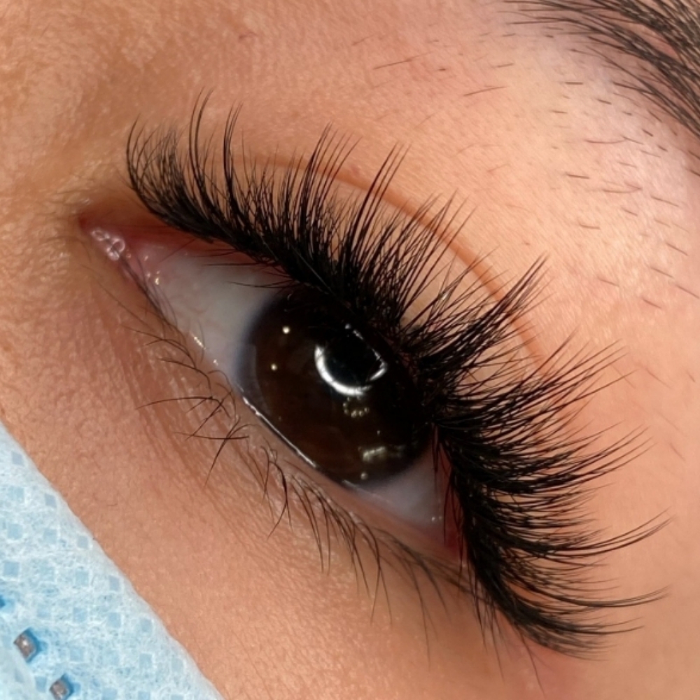 Transfer Fill at Blink Lavish Lash & Brow Studio in Duluth, GA