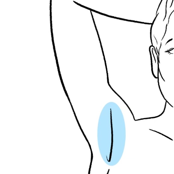 Under Arms