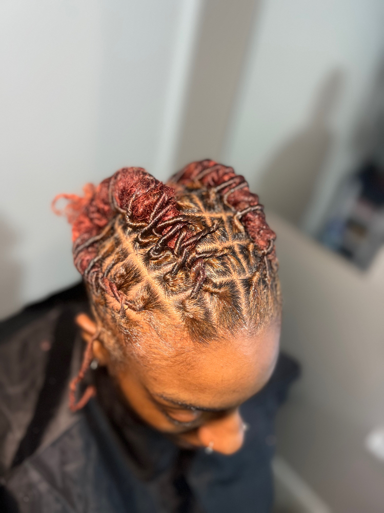 Starter Locs Style