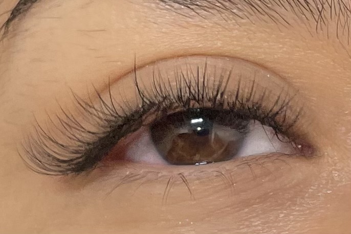 Half Eye Lash Set