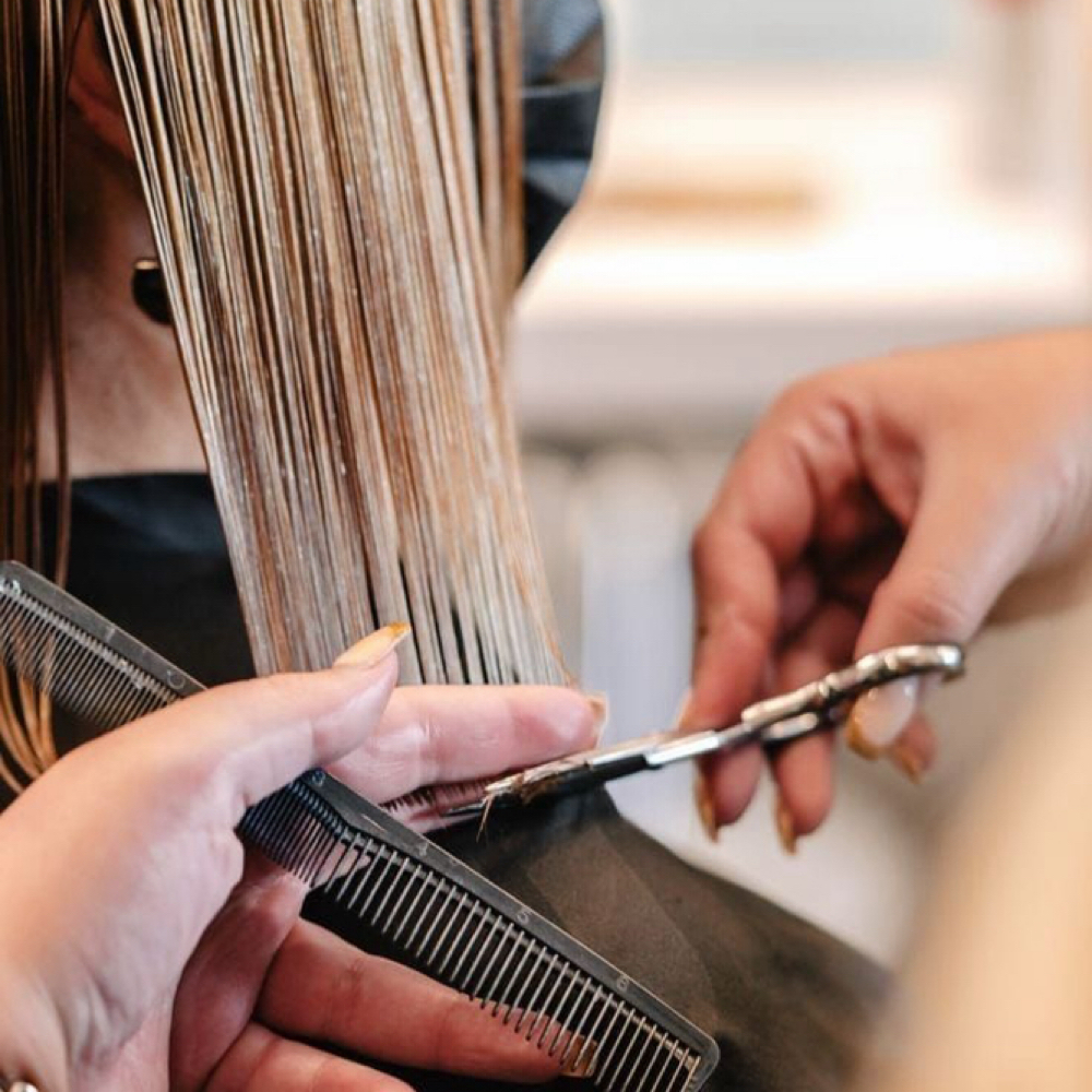 Hair Cut Consult at Alyssa Hudgin @Toledo Hair Co. in Toledo, OH