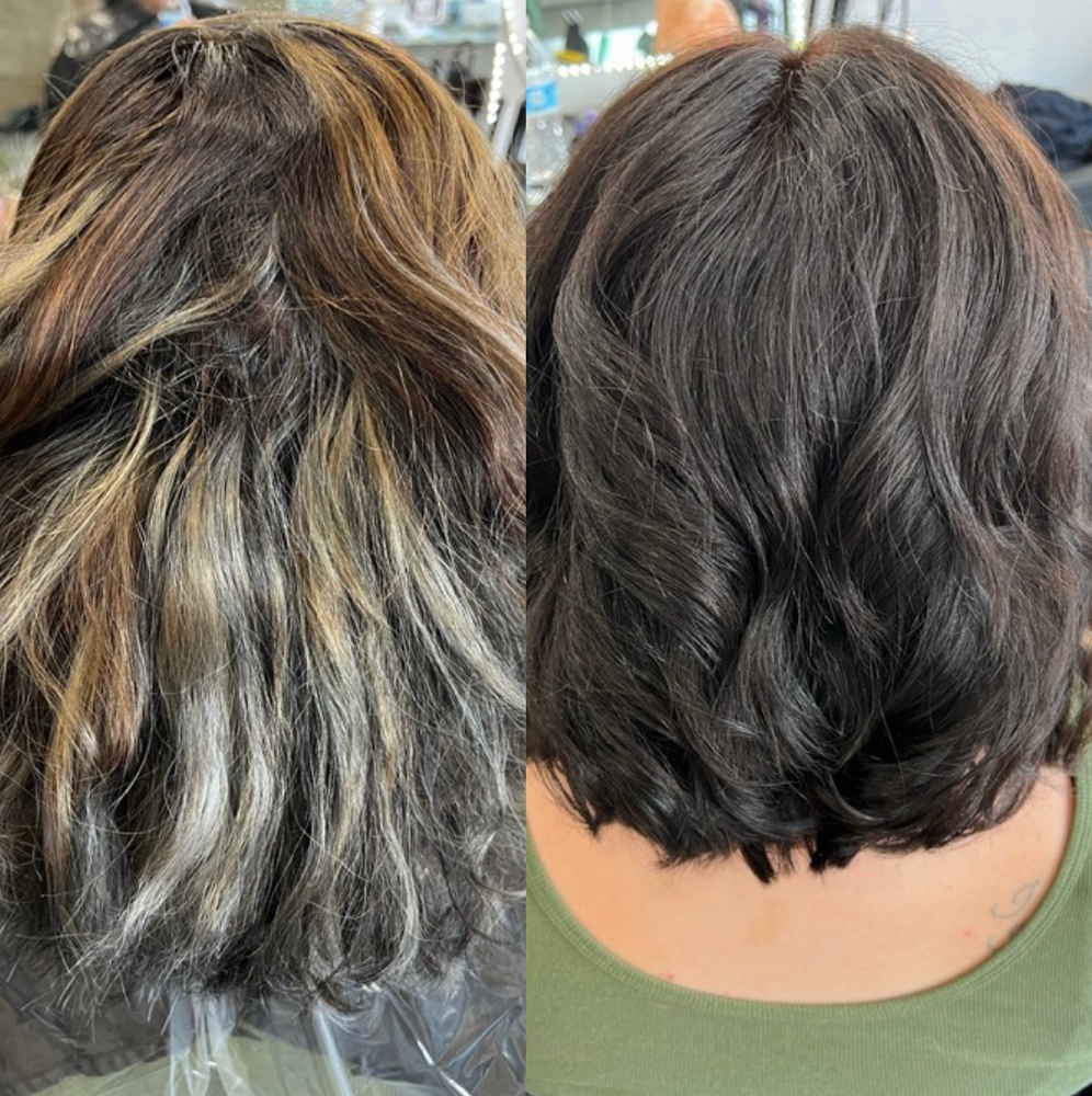 Color Correction at Monarch & Bird Hair Co. in Spokane Valley, WA