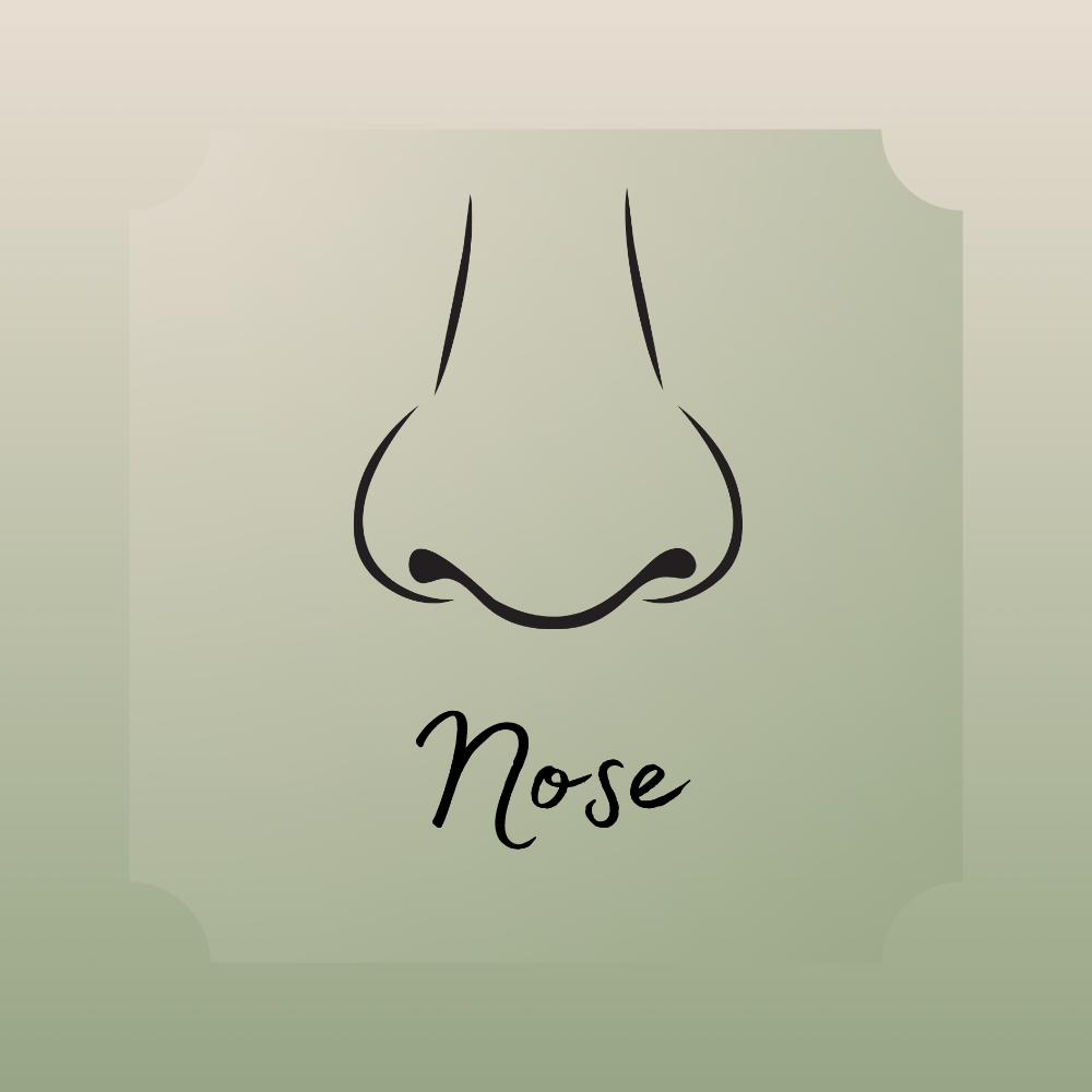 Nose