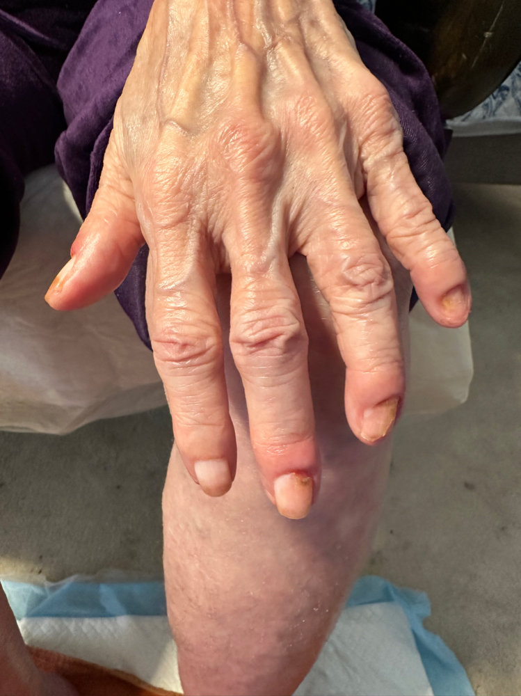 Wellness Restorative Manicure
