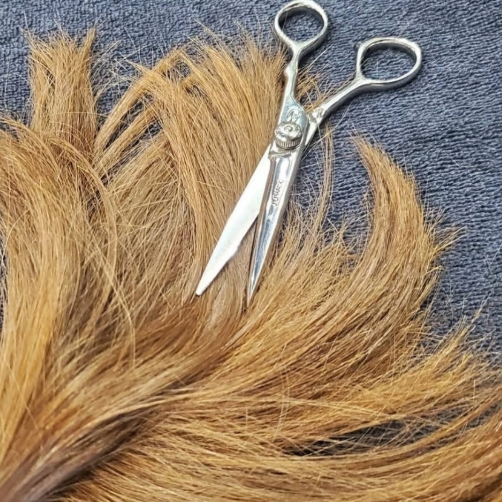 Designer Haircut at Colorful Hairapy in Richmond, VA