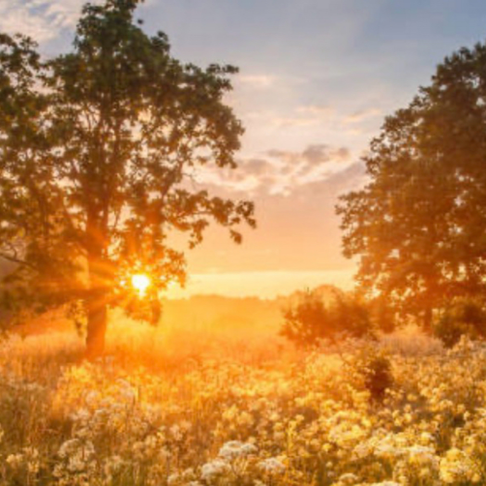 Glow And Lift Combo at Willow & Wren Aesthetics in Clarksville, TN