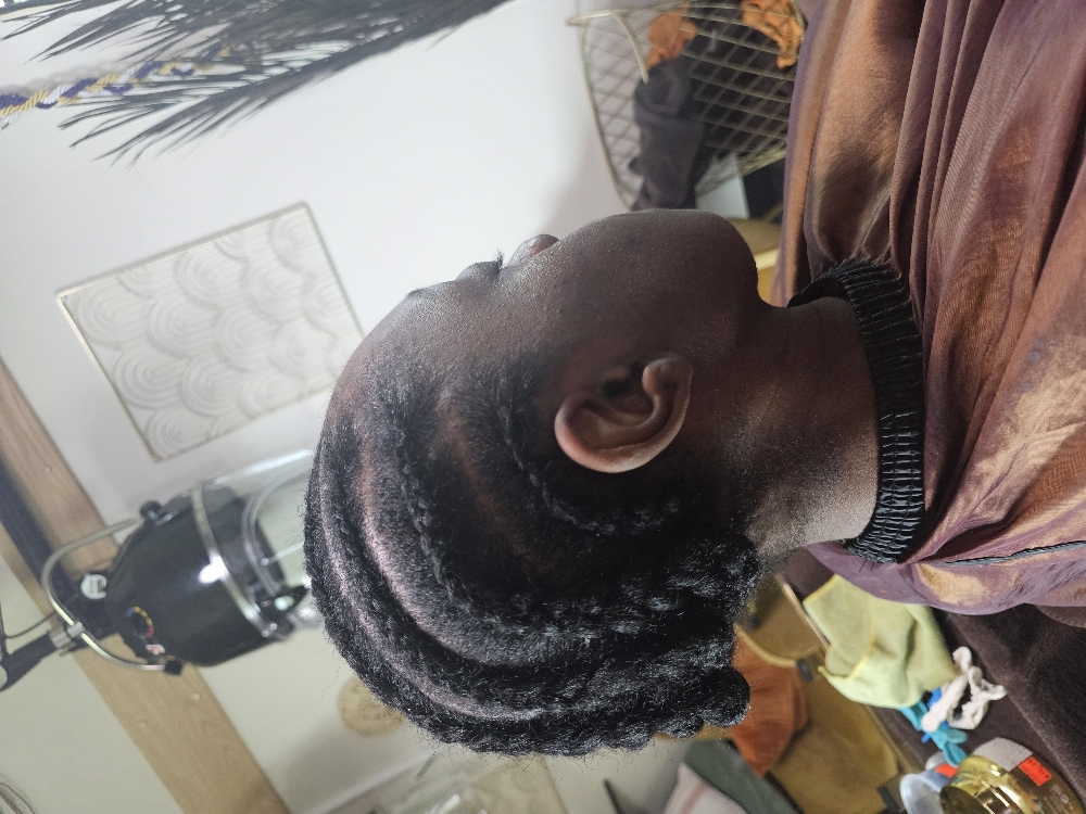 Cornrows/Braid down