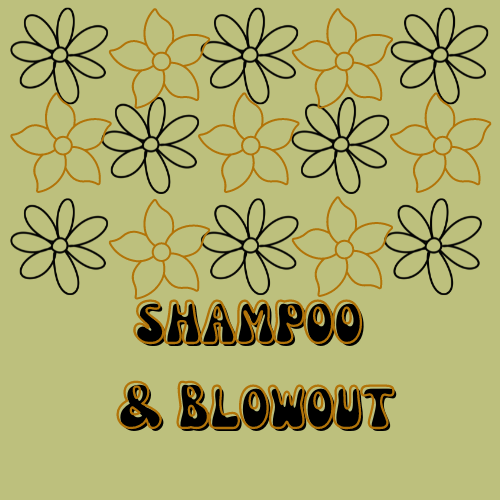 Shampoo & Blowout