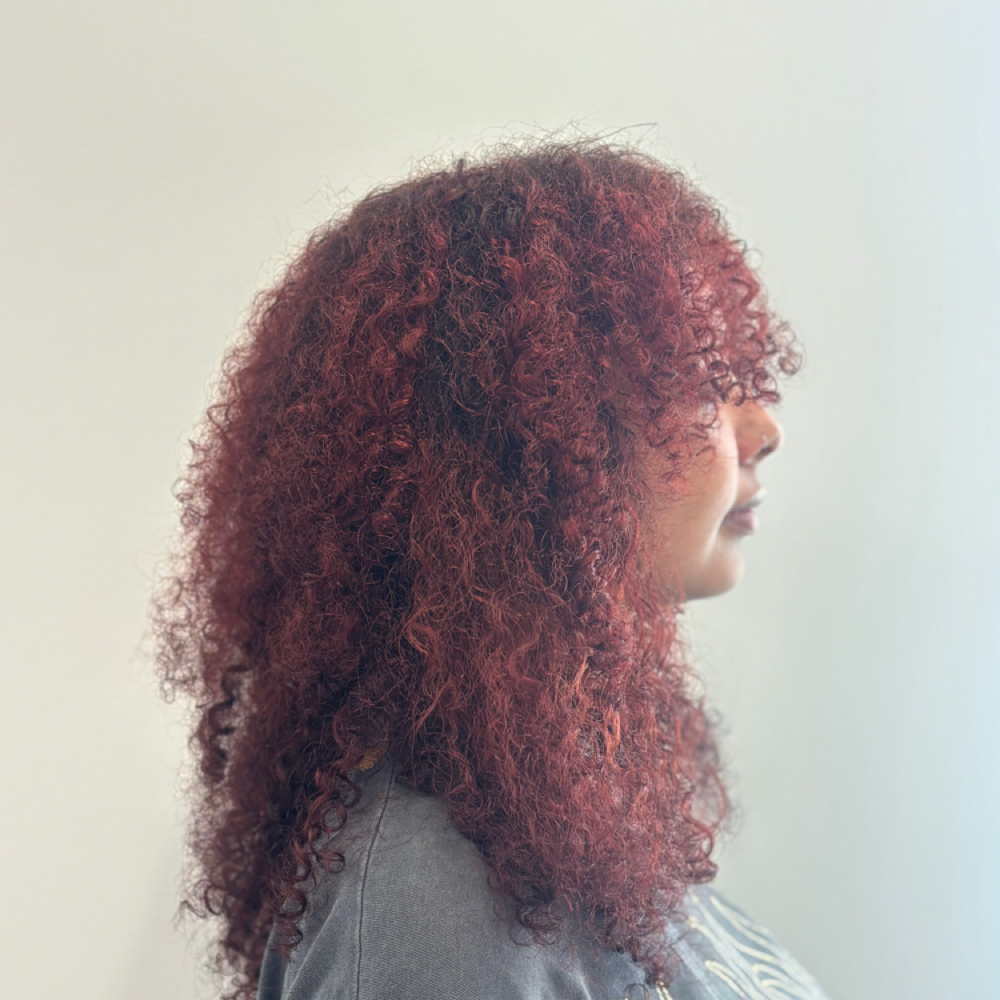 All Over Color at HairbyPunk in Cleveland, TN