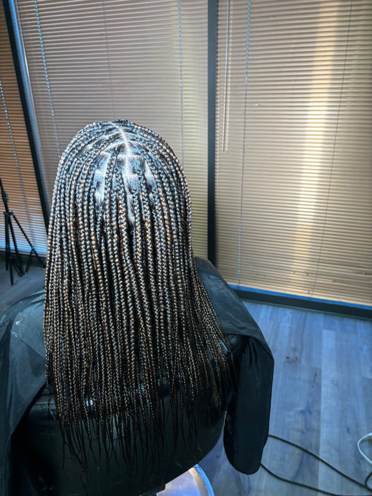 Small Knotless Mid Back at HMH in Houston, TX