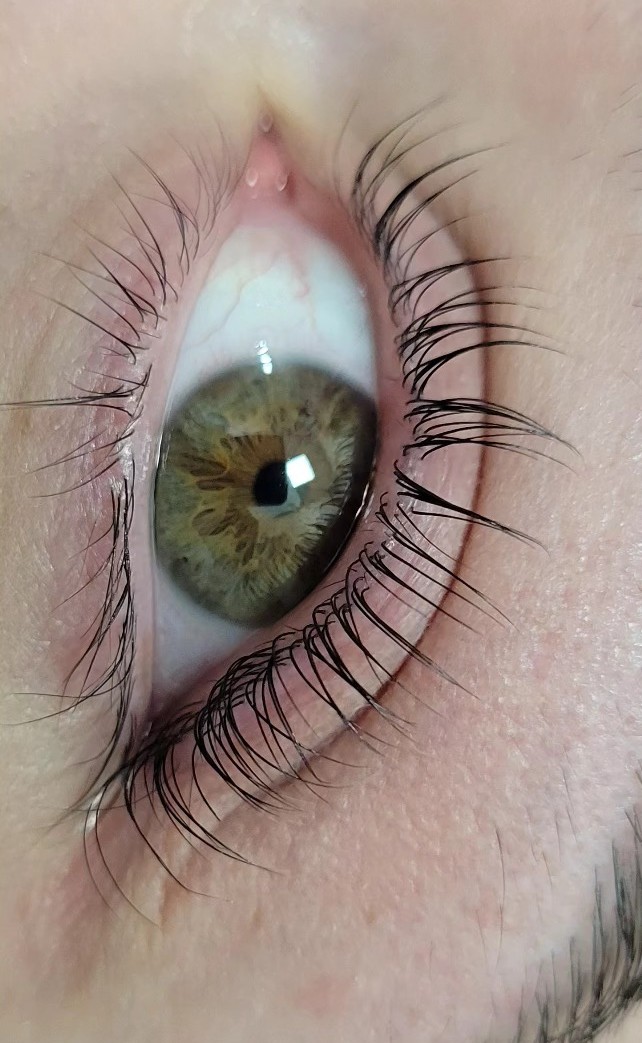 Lash Lift and Tint