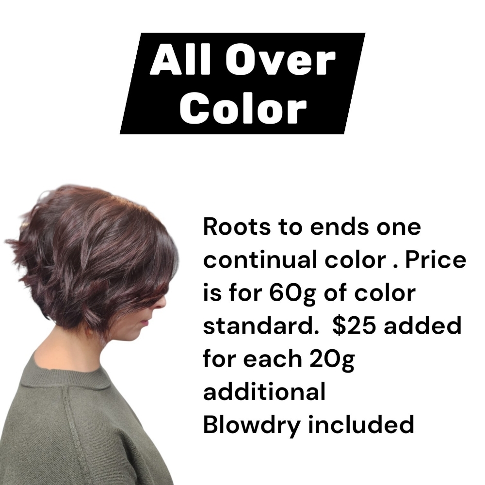 All Over Color at Revolution Hair in Brick, NJ