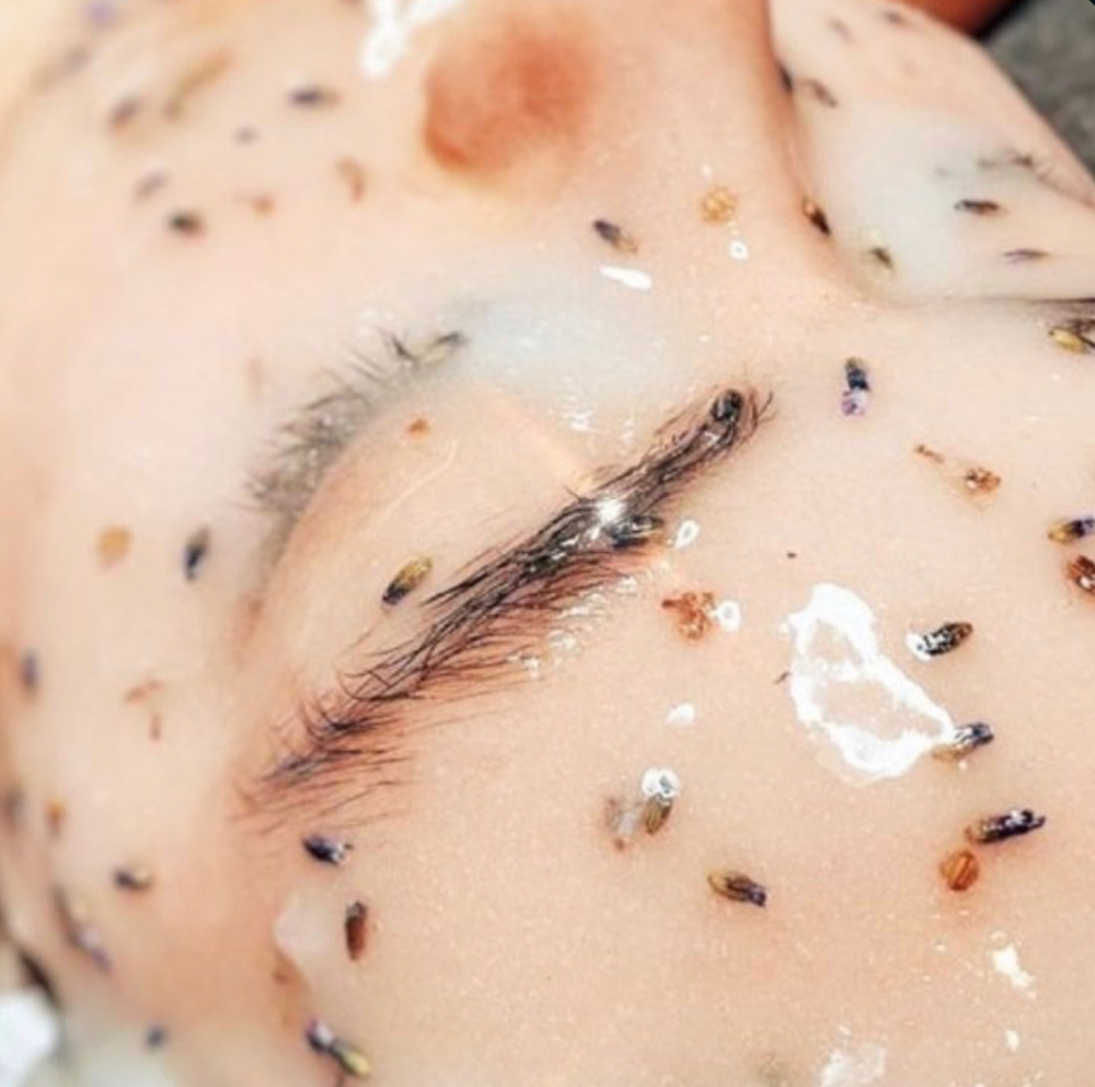Hydro Jelly Mask