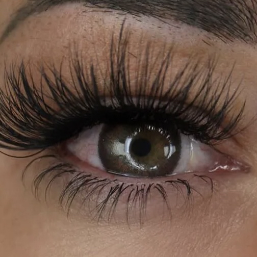 Bottom Lashes