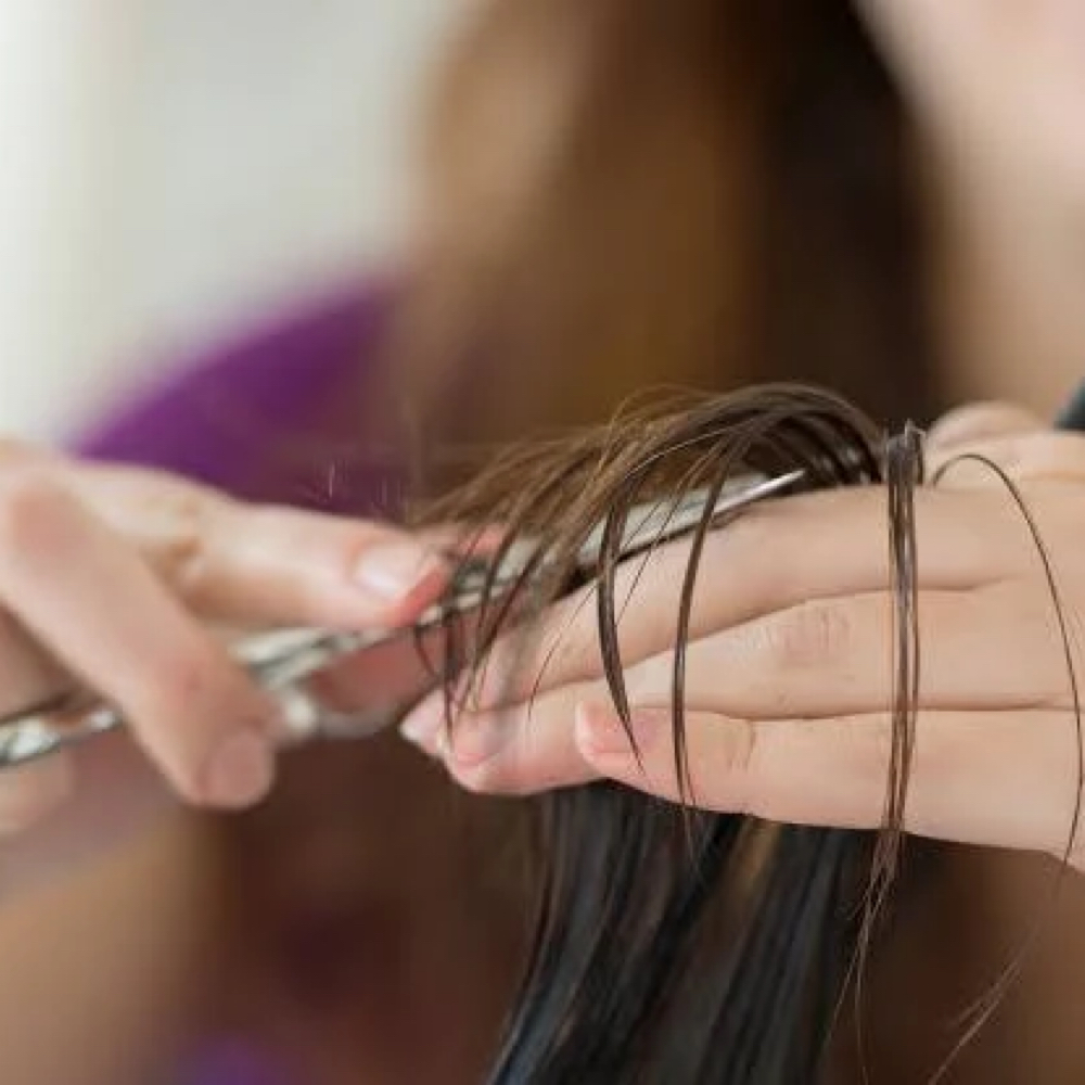 Simple Haircut / Trim at Glori Salon in Sunrise, Florida, FL