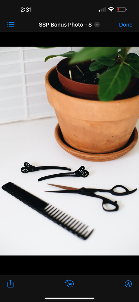 Dry Haircut