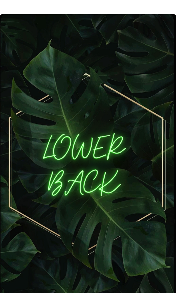 Lower Back