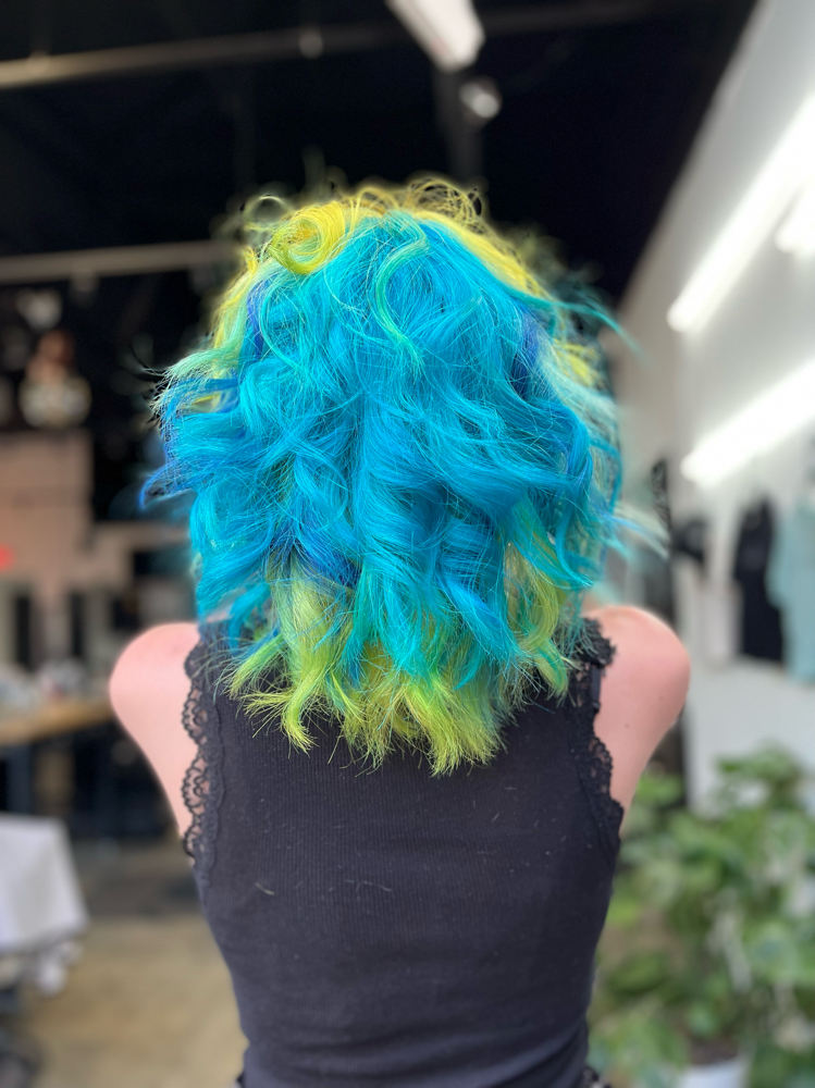 Fantasy Hair Consultation