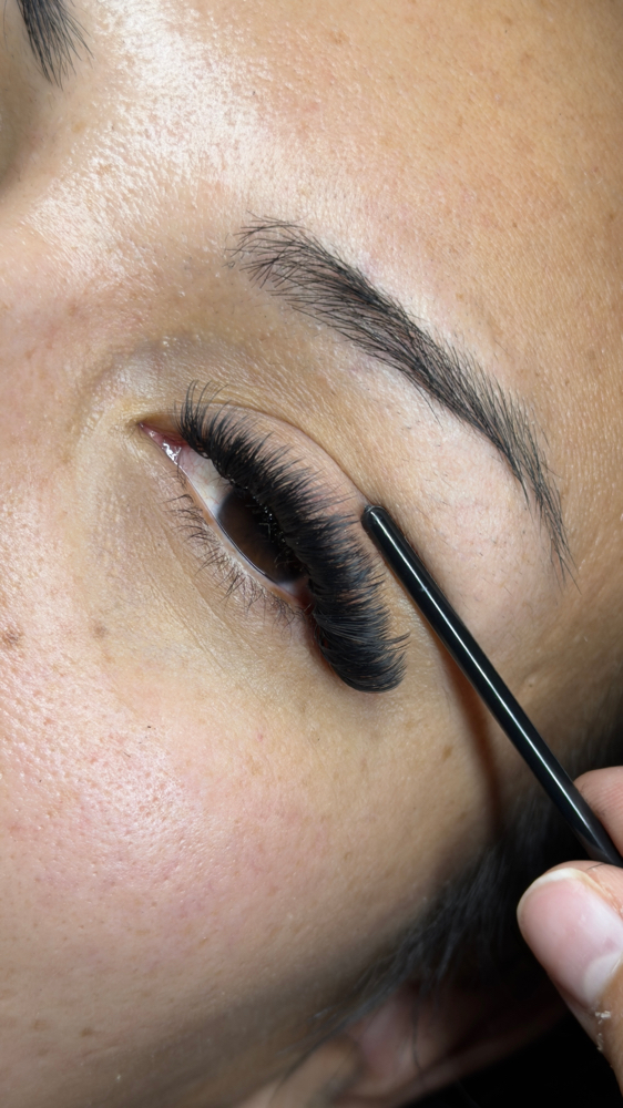 Daydreaming (Volume) 3 Week Fill