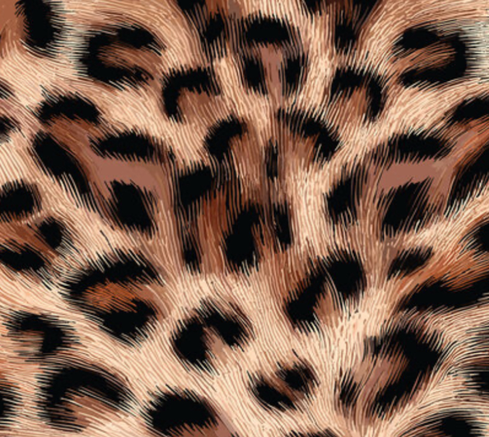 Root Retouch