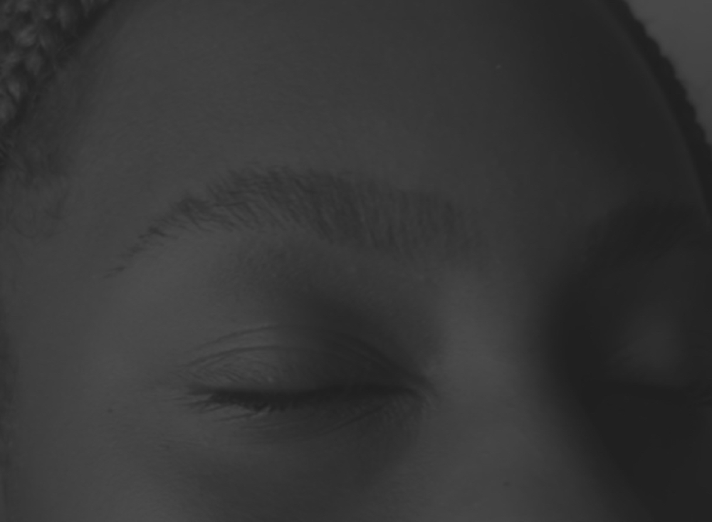 Brow Booster at Skincare With Shay in Winnsboro, TX