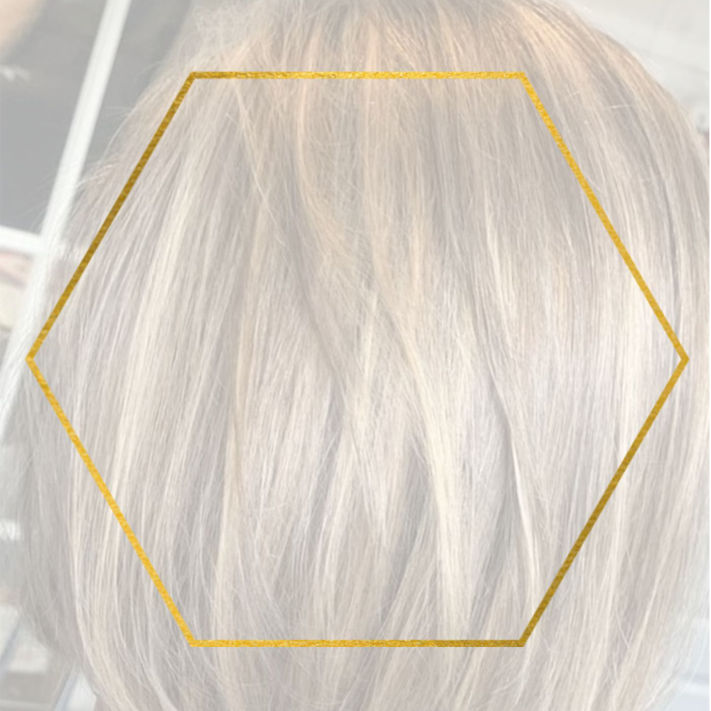 Foil Highlights