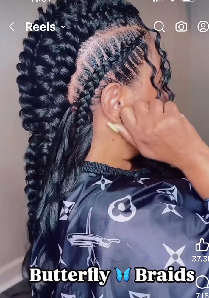 Butterfly Braids