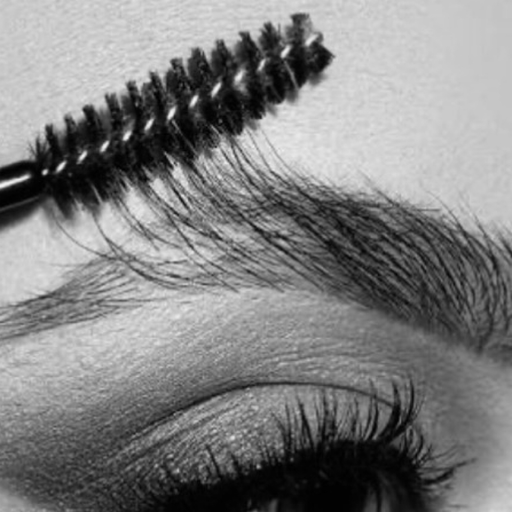 Luxe Brows at Lavish Luxe Hair Co in Garland, TX