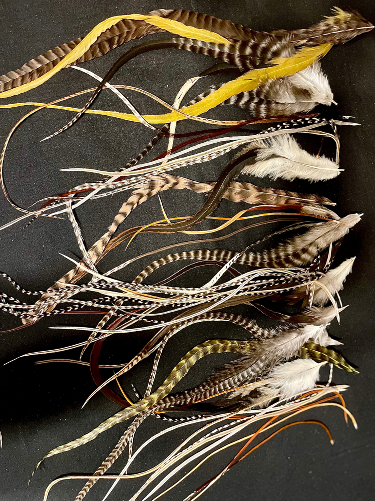 Single Feather Extensions