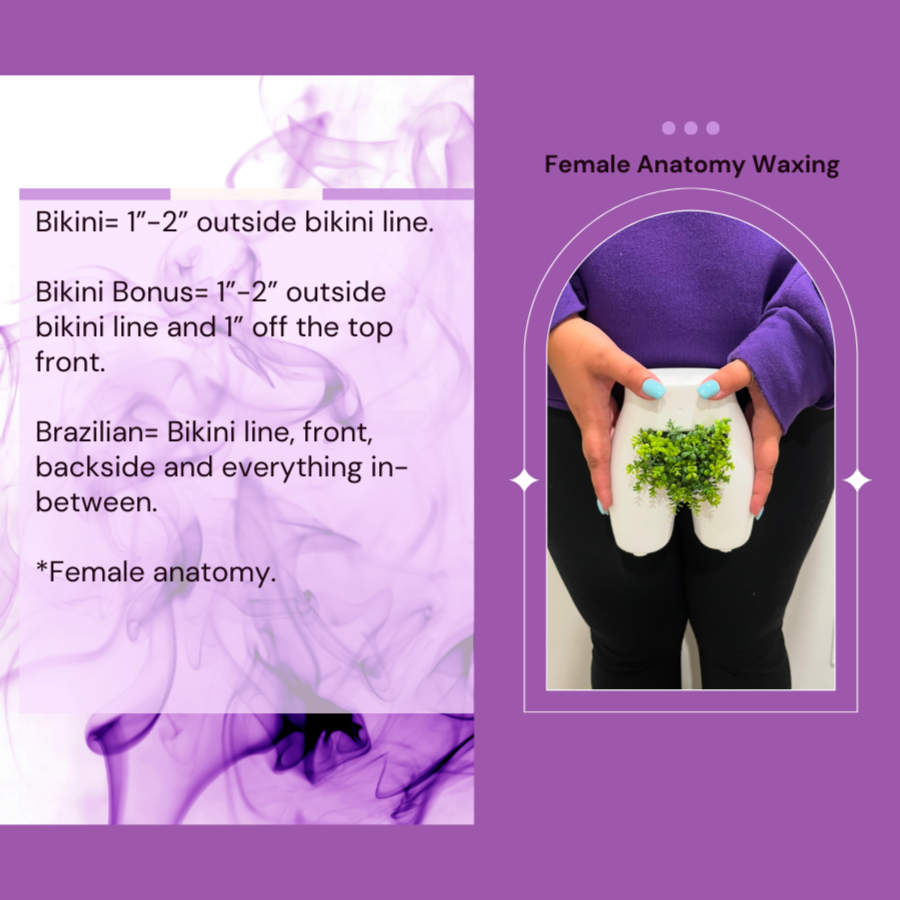 Female Anatomy Intimate Waxing