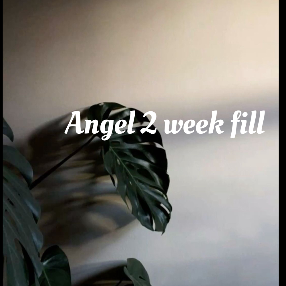 2 Week Angel Fill
