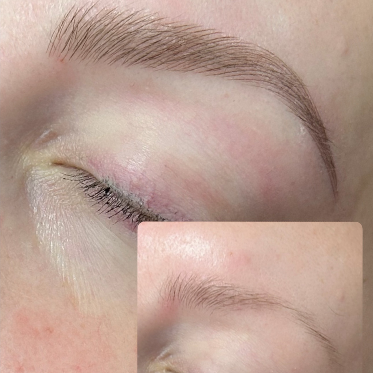 Microblading Eyebrow Recreation
