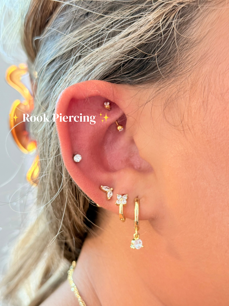 Model Appointment (Rook)