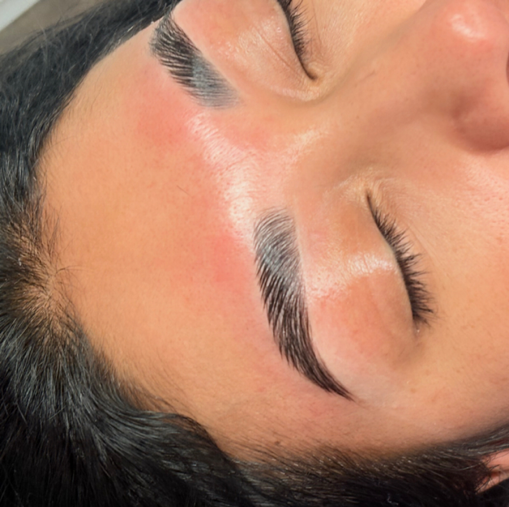 Lamination + Wax + String Map at Eternal Ink Beauty in Glenwood Springs, CO