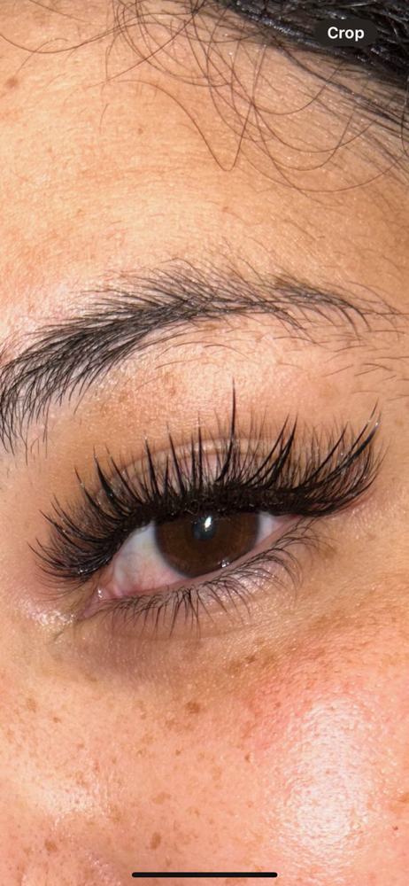 Wispy Wet Full Set