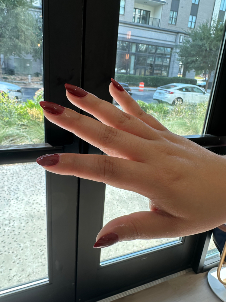 Dissertation Manicure